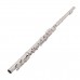 Firefeel W032 Flauta 16 Key With e Mechanism Silver Plated
