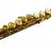 Firefeel W036 Flauta 16 Key With e Mechanism Gold Plated