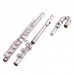 Firefeel W039 Flauta 17H  With E-Mech Nickel Plated