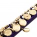 Firefeel W041 Flauta 16H  With E-Mech Purple Body gold key
