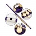 Firefeel W041 Flauta 16H  With E-Mech Purple Body gold key