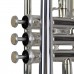 Firefeel W068 Truba