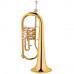Firefeel W87 Fligorna